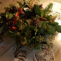 Dottydaisy2
